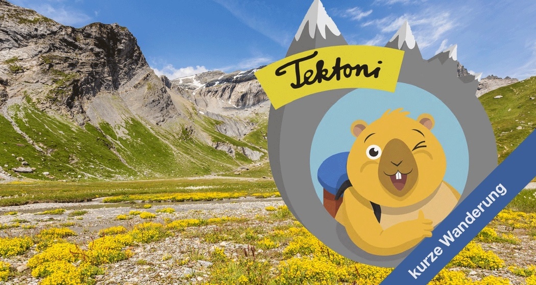 Tektoni - Unterwegs im unteren Segnesboden