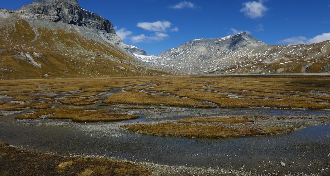 Tektoni - Unterwegs im unteren Segnesboden