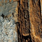 Adventure Flims - L'educazione alpina spiegata in modo semplice