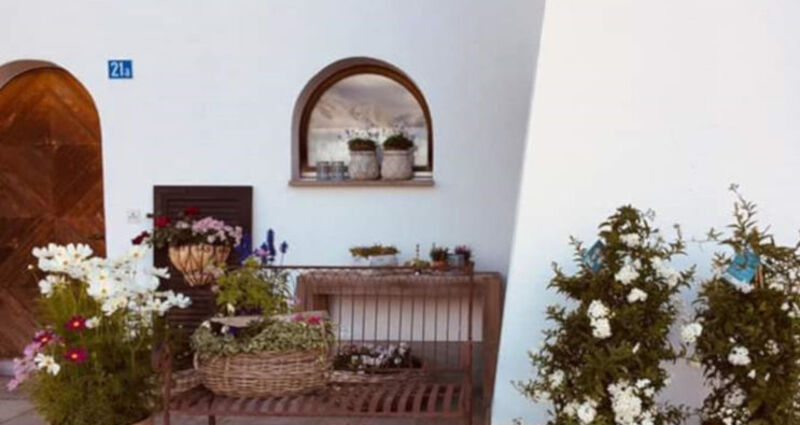 Blumenzauber GmbH Meierhof