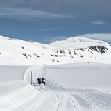 103: Vorab - Nagens (oua_42792358_image)