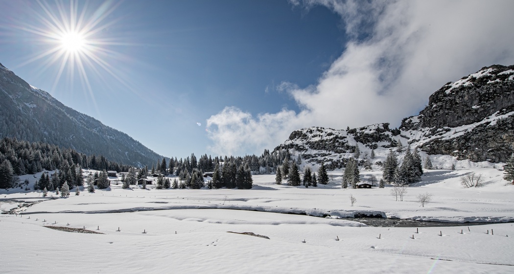 2 Bargis - Fidaz - Flims (oua_42808721_image)