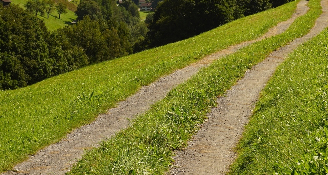 Auf dem Weg in zwischen Saas und Serneus