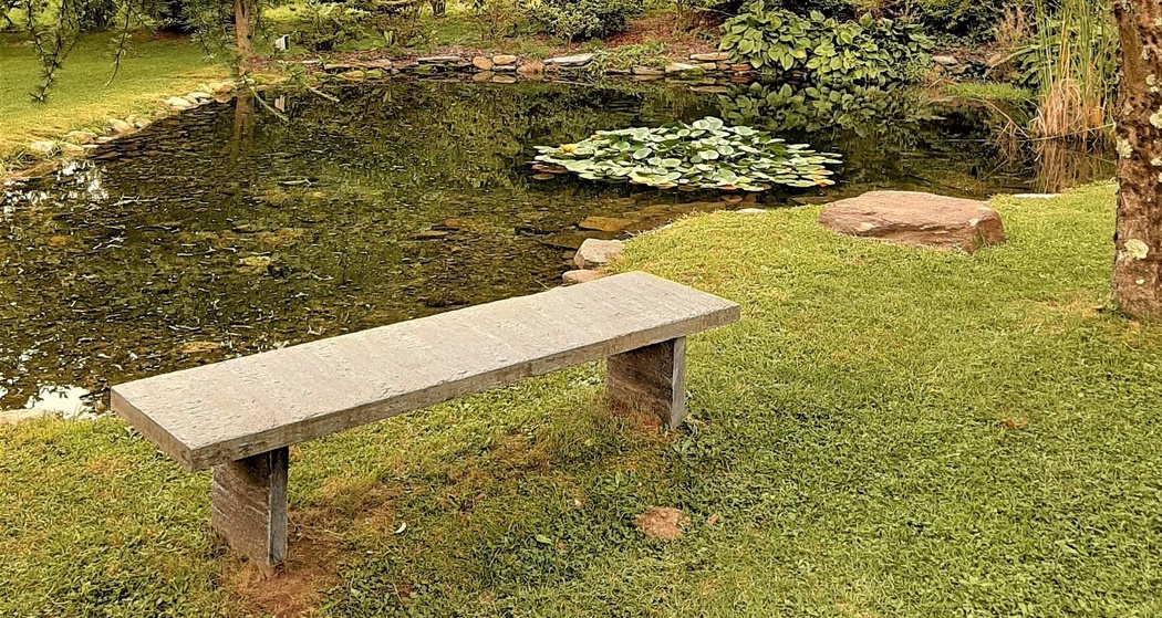 MiniSuite Deluxe CàVegia (oua_43060478_image)