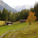 Herbst in der Grossrüti
