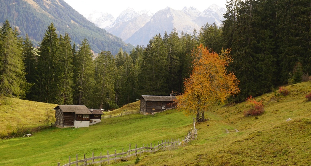 Herbst in der Grossrüti