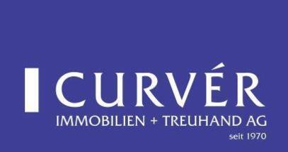 Logo Curver