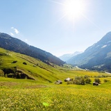 Praterie di montagna Rheinwald