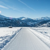 Schlittelpiste Curnius-Falera (oua_43206174_image)