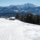 Schlittelpiste Foppa-Flims (oua_43225739_image)