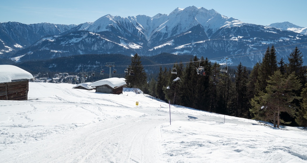 Schlittelpiste Foppa-Flims (oua_43225739_image)