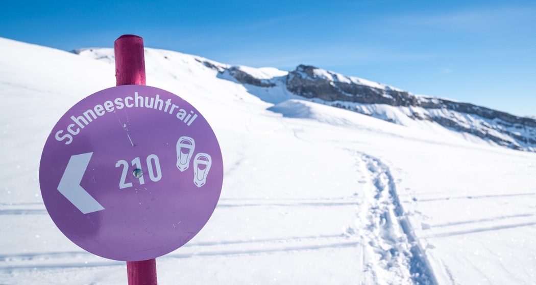 Schneeschuhtrail Nr. 545 Grauberg (oua_43228060_image)