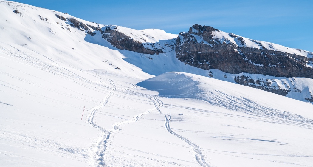 Schneeschuhtrail Nr. 545 Grauberg (oua_43228064_image)