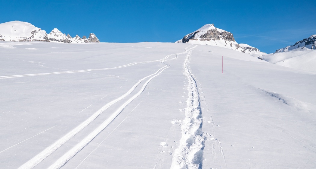 Schneeschuhtrail Nr. 545 Grauberg (oua_43228071_image)