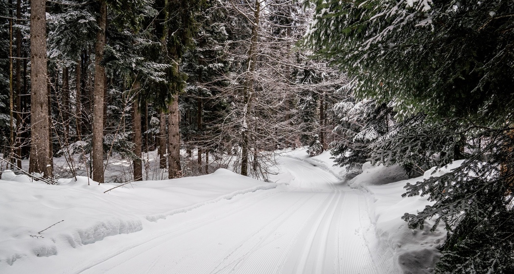 Langlaufloipe: Flims - Conn - Sportzentrum Prau la Selva (retour) (oua_43228953_image)