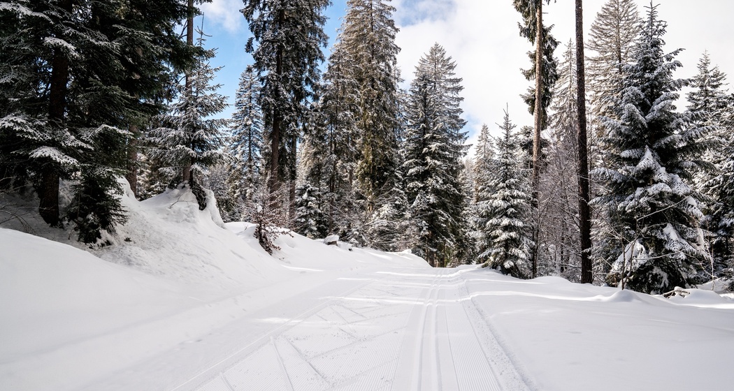 Langlaufloipe: Flims - Conn - Sportzentrum Prau la Selva (retour) (oua_43228955_image)