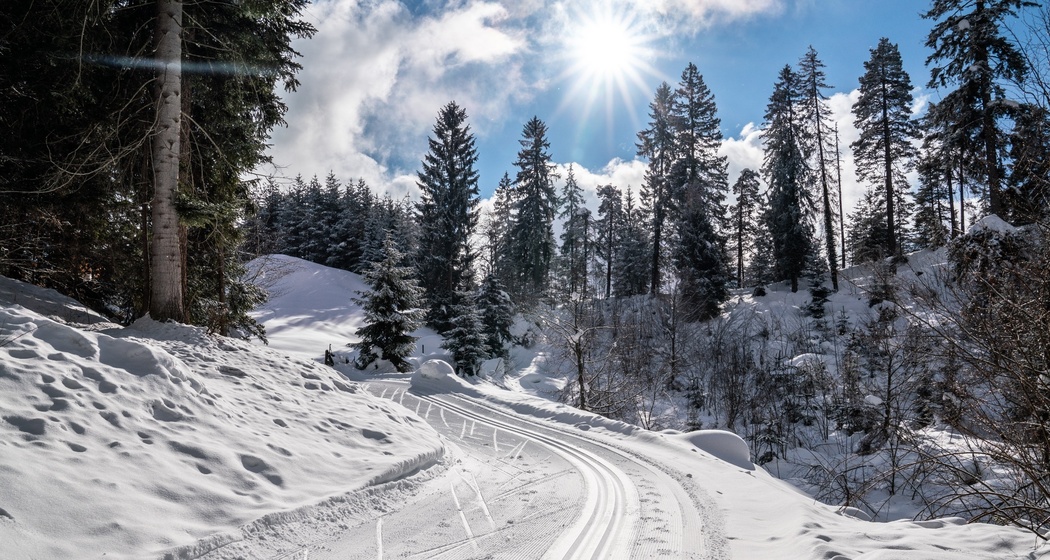 Langlaufloipe: Flims - Conn - Sportzentrum Prau la Selva (retour) (oua_43228960_image)