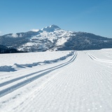 Piste de ski de fond Sagogn (oua_43230175_image)