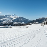 Piste de ski de fond Sagogn-Schluein (oua_43230506_image)
