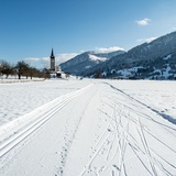 Piste de ski de fond Sagogn-Schluein (oua_43230512_image)