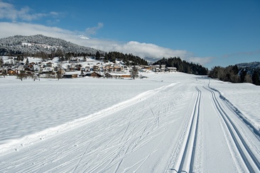 Langlaufloipe Sagogn Hundeloipe (oua_43230561_image)