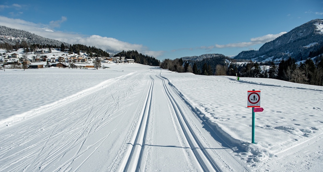 Langlaufloipe Sagogn Hundeloipe (oua_43244711_image)