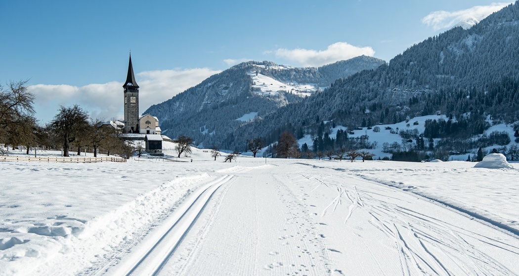 Langlaufloipe Sagogn Prau / Nachtloipe (oua_43246645_image)