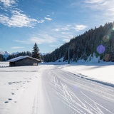 Langlaufloipe Plaun (oua_43247140_image)