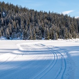 Langlaufloipe Plaun (oua_43247141_image)