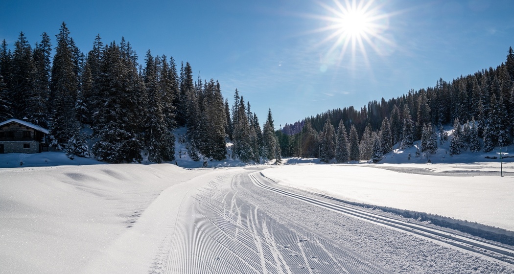 Langlaufloipe Plaun (oua_43247151_image)