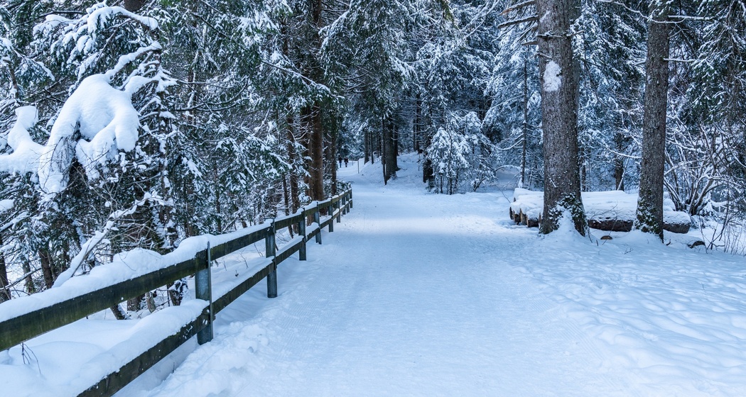 Staderas - Conn -Aussichtsplattform "Il Spir" (oua_43247269_image)
