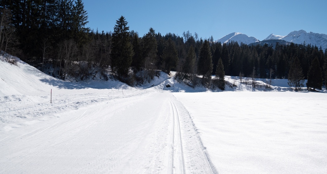 Langlaufloipe Trin Isla (oua_43248153_image)