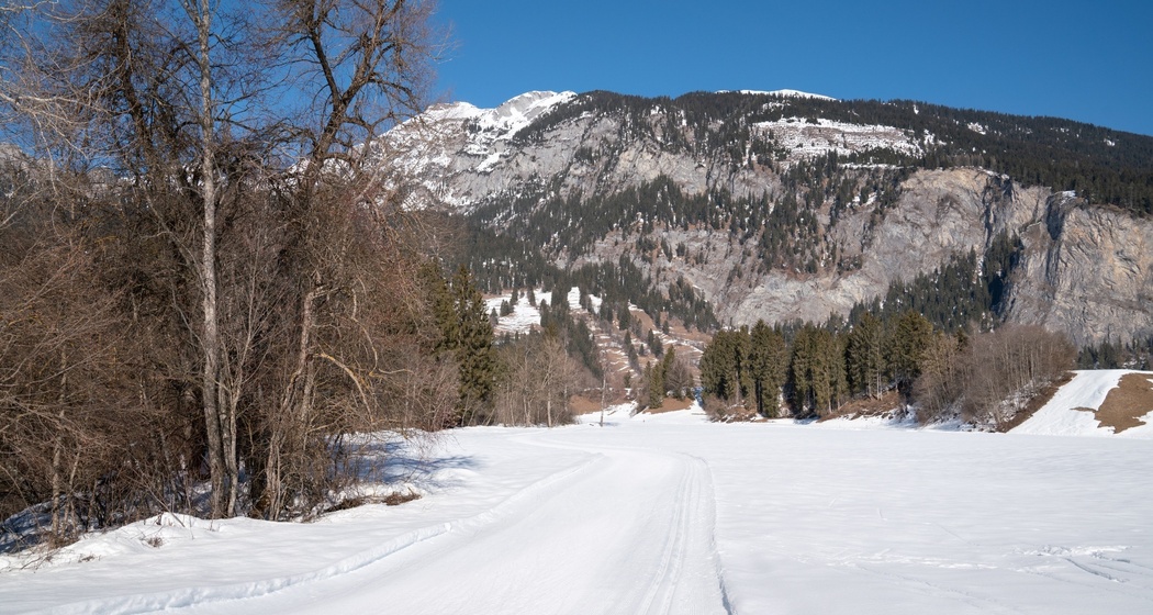 Langlaufloipe Trin Isla (oua_43248154_image)