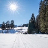 Pista di sci di fondo Trin Suraua (oua_43248328_image)