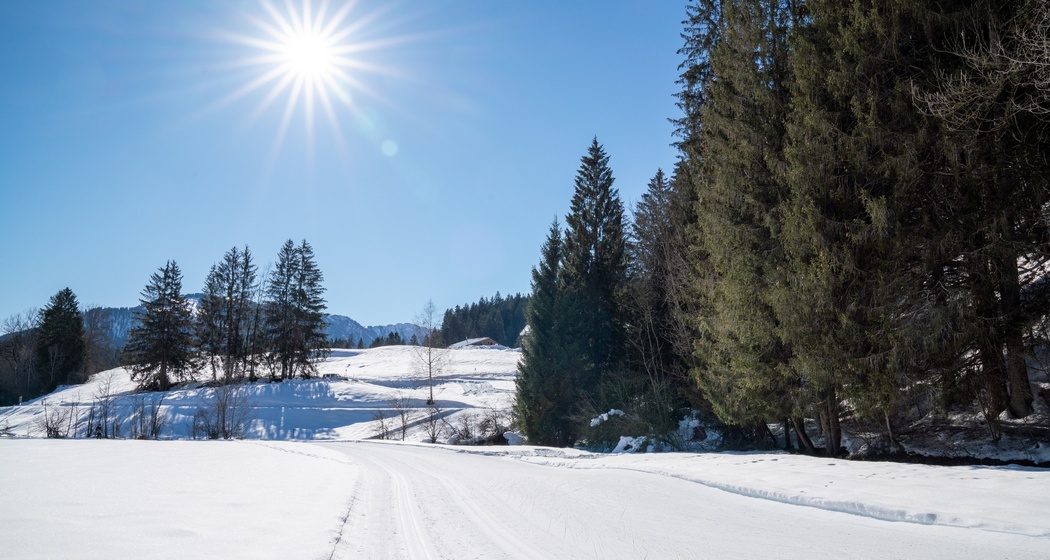Langlaufloipe Trin Suraua (oua_43248328_image)