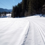 Pista di sci di fondo Trin Suraua (oua_43248330_image)