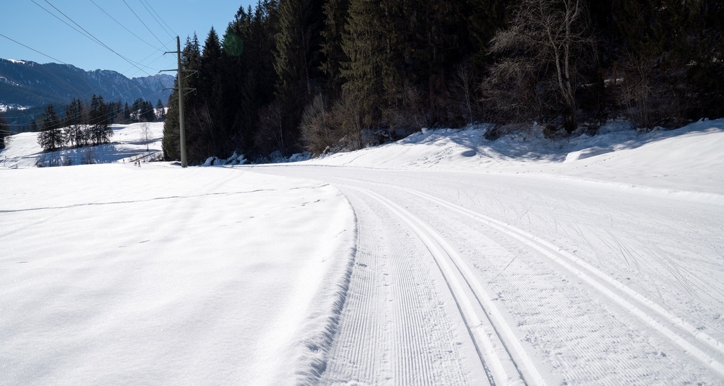 Langlaufloipe Trin Suraua (oua_43248330_image)