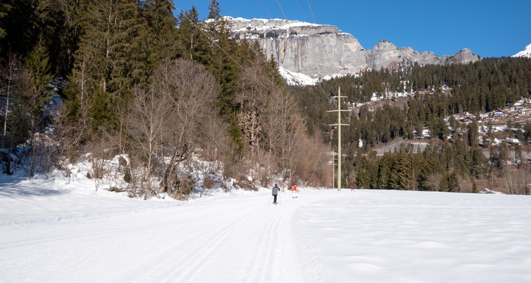 Langlaufloipe Trin Suraua (oua_43248337_image)