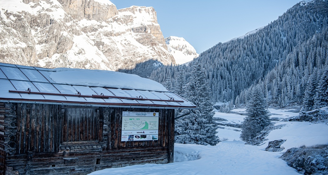 Langlaufloipe im Hochtal Bargis (oua_43248930_image)