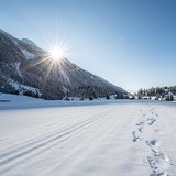 Piste de ski de fond dans la haute vallée de Bargis (oua_43248939_image)
