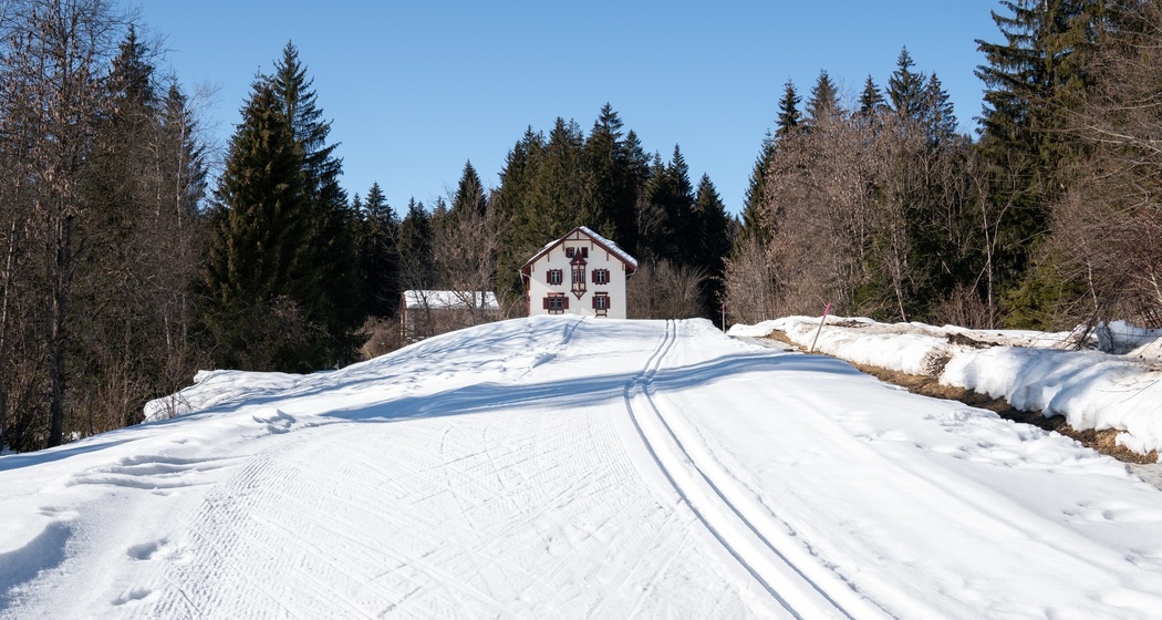 Langlaufloipe Trin Crestasee (oua_43249345_image)