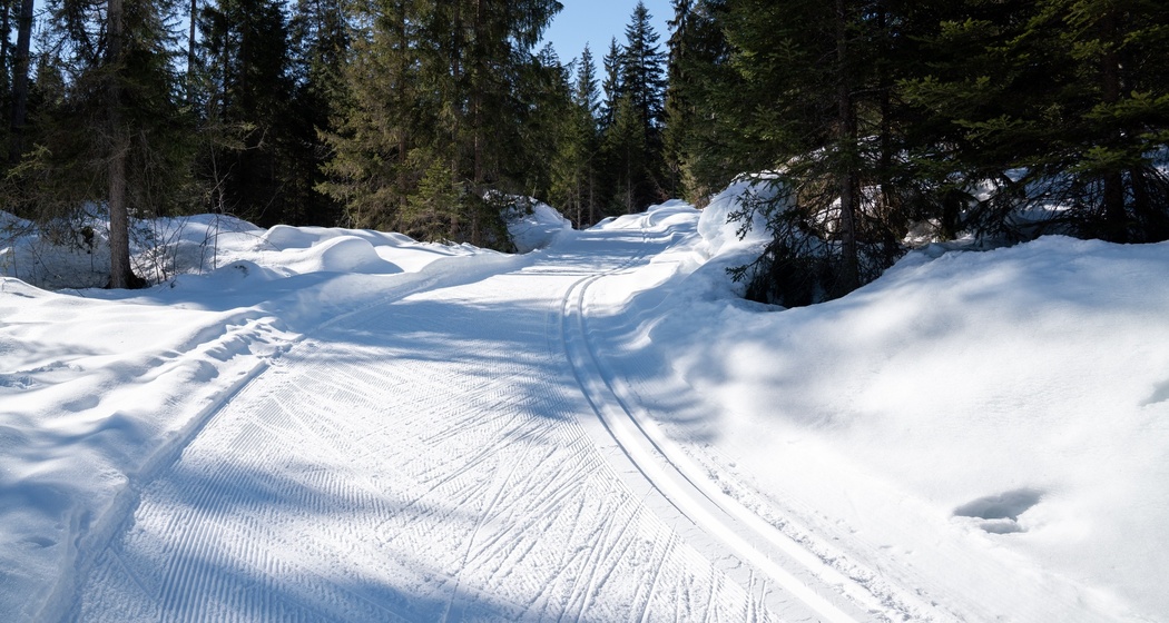 Langlaufloipe Trin Crestasee (oua_43249355_image)