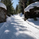 Parcours de ski de fond Trin Crestasee (oua_43249366_image)