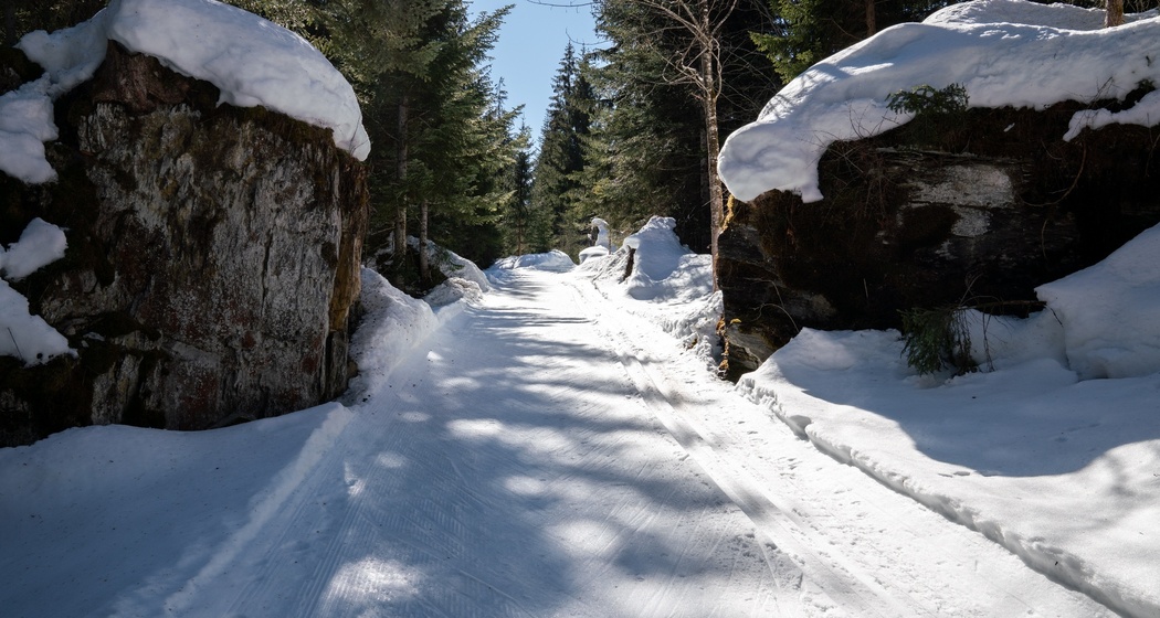 Langlaufloipe Trin Crestasee (oua_43249366_image)