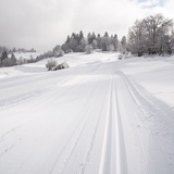 Flims Rens Cross-Country Ski Trail (oua_43249589_image)