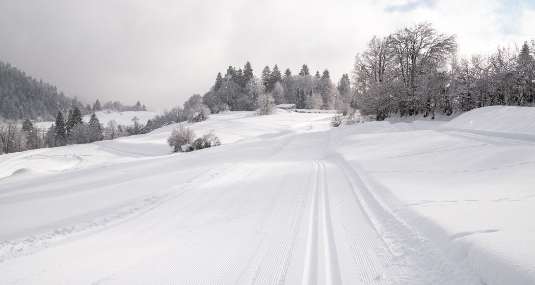 Langlaufloipe Flims Rens (oua_43249589_image)