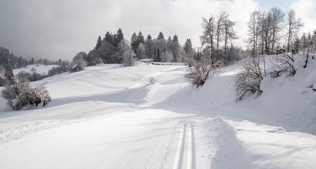 Langlaufloipe Flims Rens (oua_43249590_image)