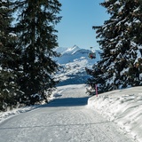 100 Curnius - Falera (oua_43311166_image)