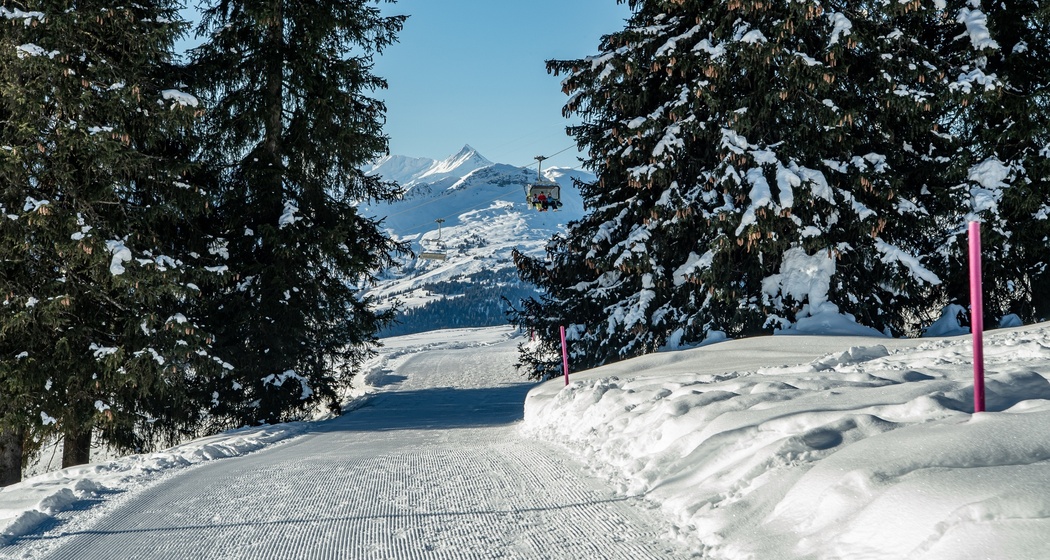 100 Curnius - Falera (oua_43311166_image)