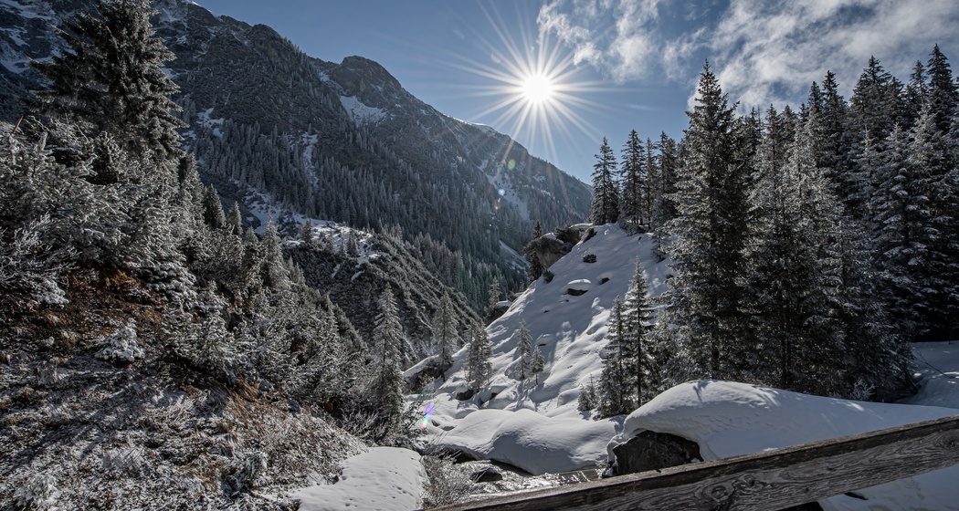 2 Bargis - Fidaz - Flims (oua_43313065_image)